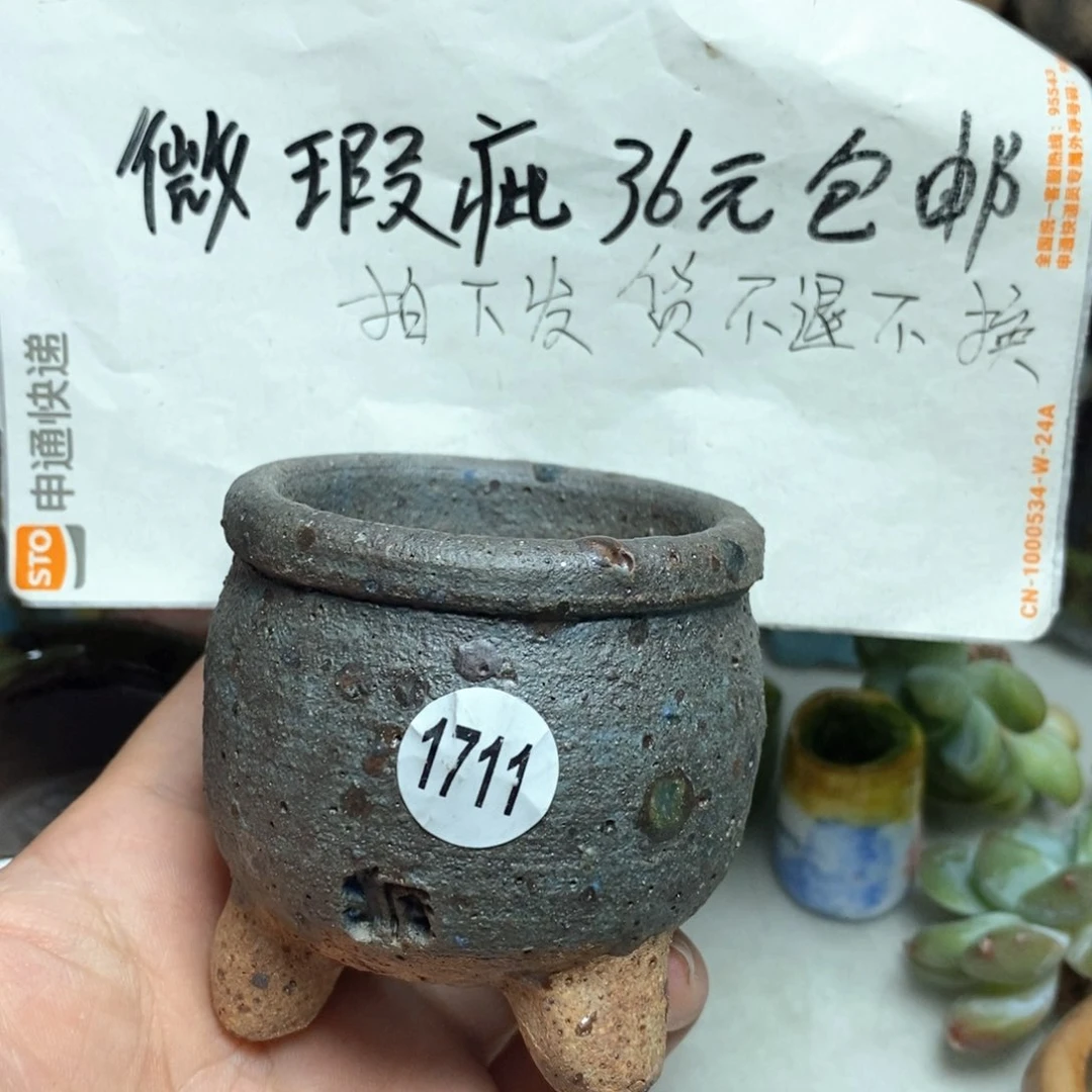 拍5送一个小礼物