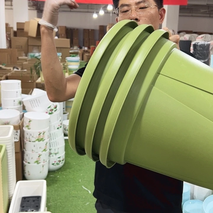 青山口40高34果绿无托3只