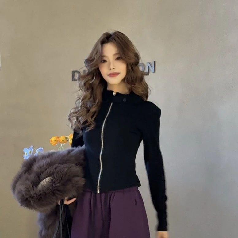2025秋冬新款韩版设计感立领拉链长袖T恤女修身显瘦内搭女打底衫