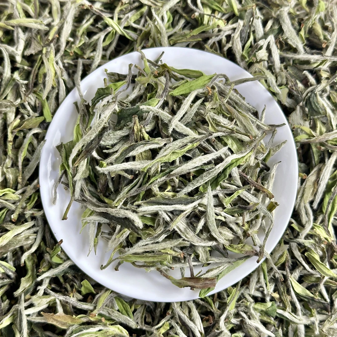 【端午大促】老粉必拍2024年荒野牡丹王