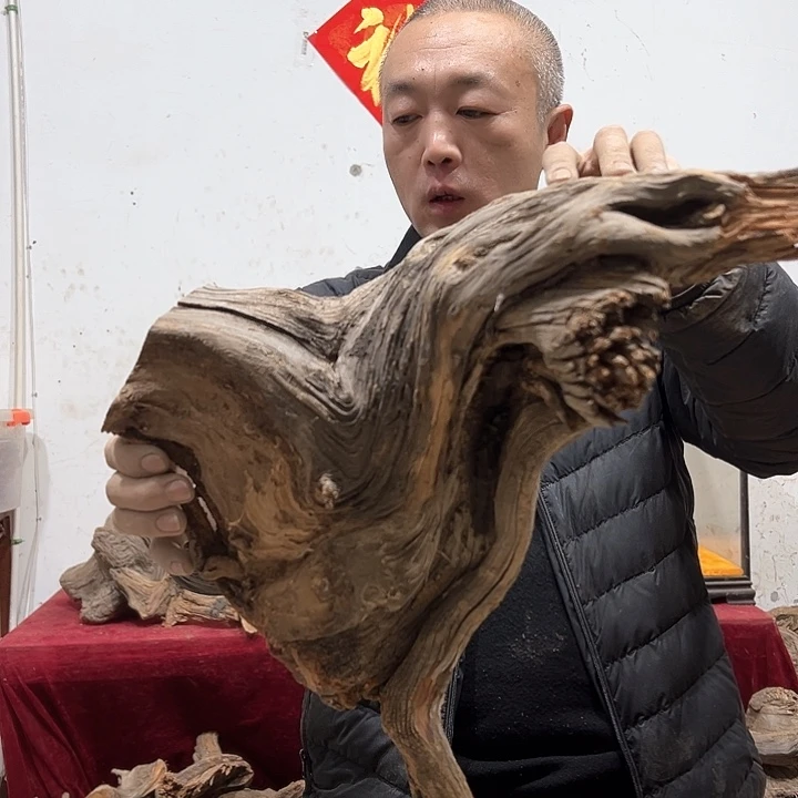 柏木壶**人我们都是好孩子呀我也