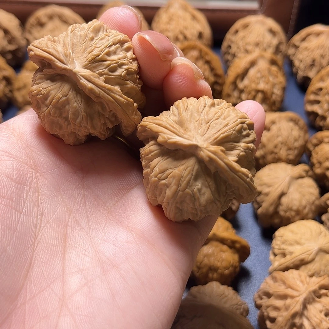 火***锅把件文玩核桃白狮子43