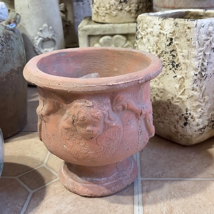 许纯的花房 微瑕天使盆