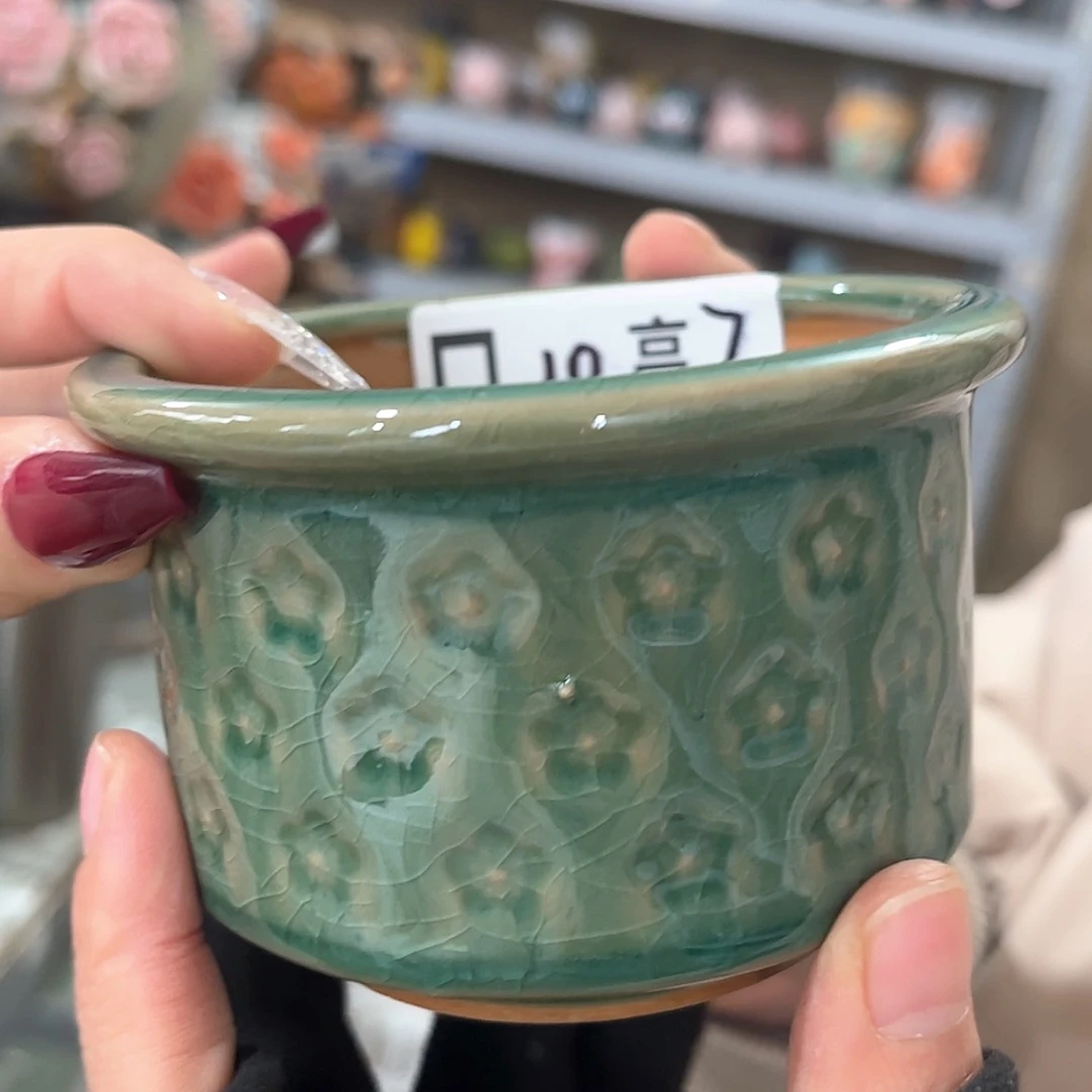 【闪购商品】红陶福利