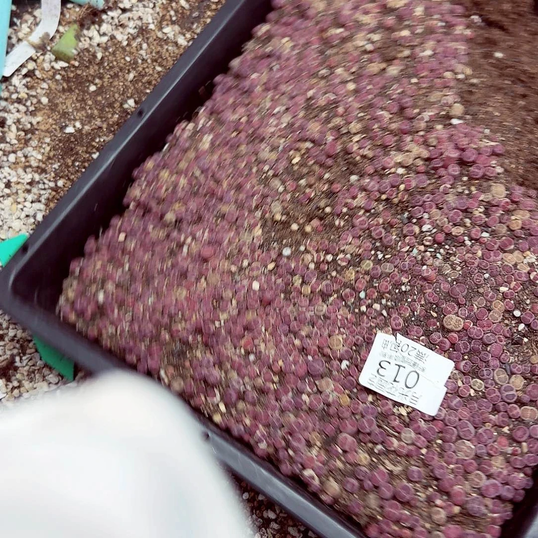 这样可以有效减少血液流动013