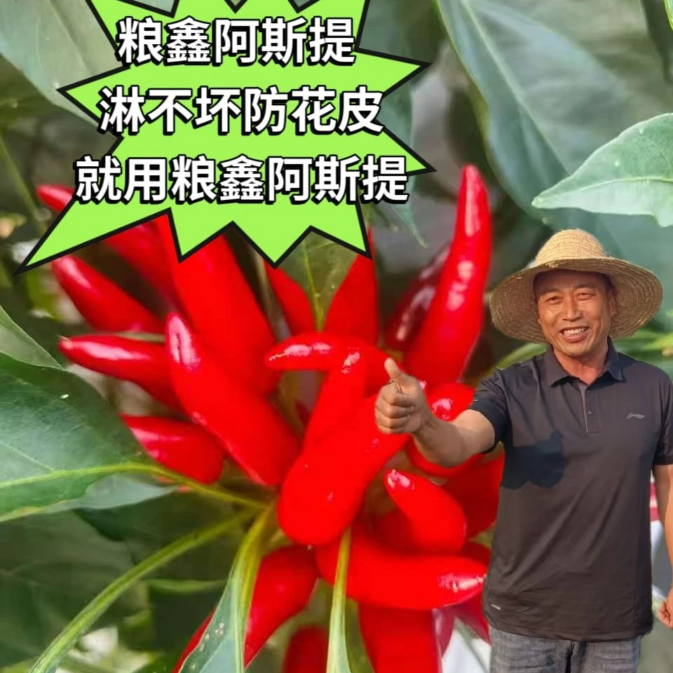 粮鑫阿斯提淋不坏防花皮就用粮鑫阿斯提鄢陵粮鑫农业