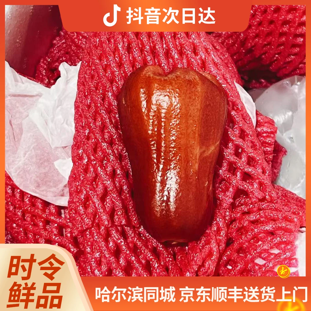 黑金刚莲雾 海南树熟 1.4斤装