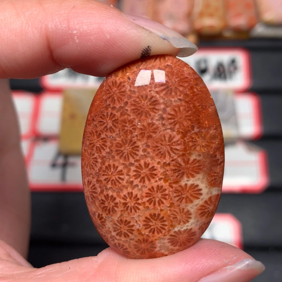 【闪购商品】未镶嵌颈饰硅化玉何****）
