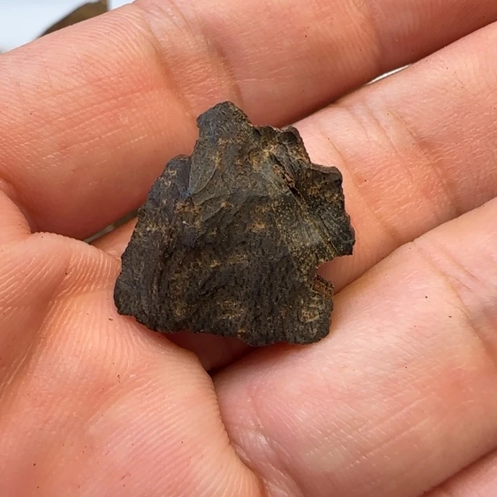 s***d沉香摆件霸王岭沉水老香1.45克