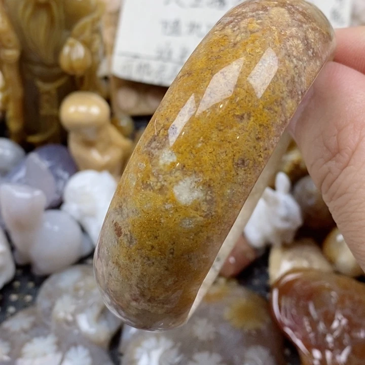 颈饰未镶嵌硅化珊瑚（珊瑚玉）有瑕 56