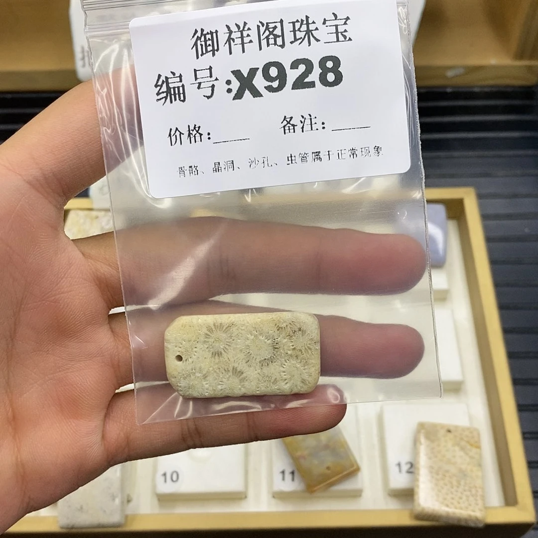 硅化珊瑚（珊瑚玉）未镶嵌颈饰菲**果