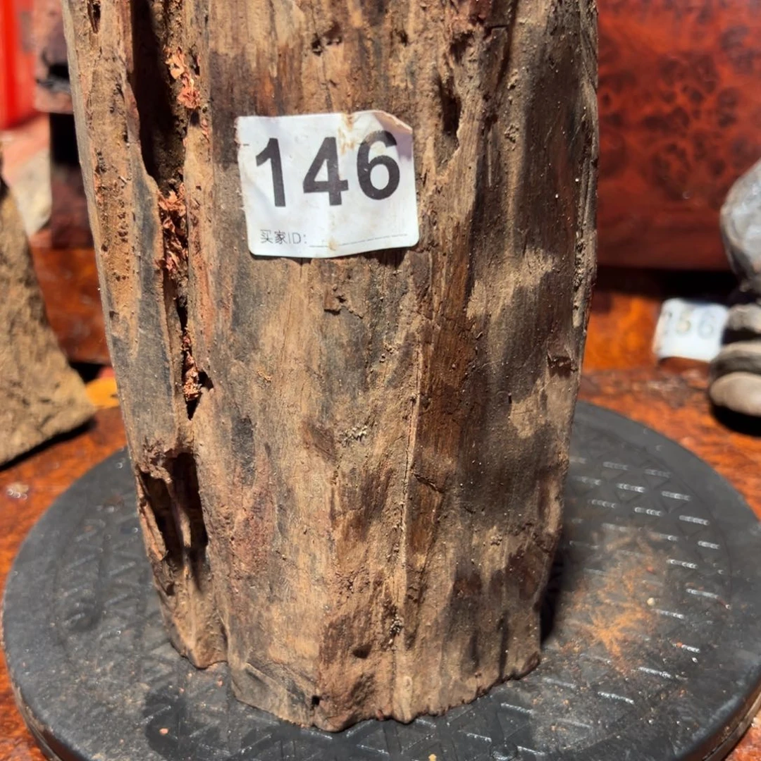 大果紫檀（缅甸花梨）