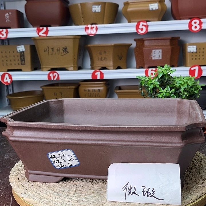 紫砂花盆紫砂之光