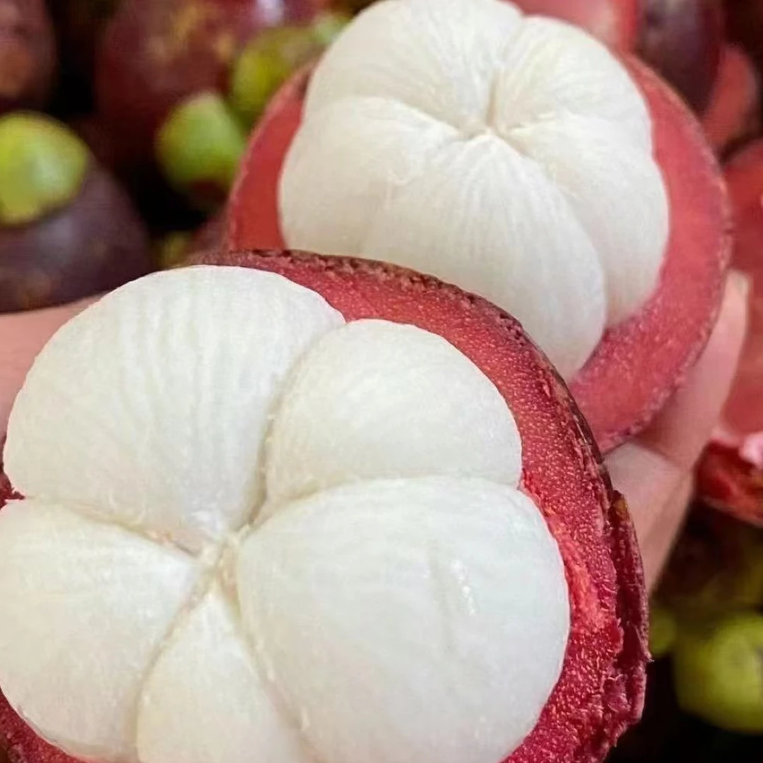 博高端精品新鲜水果麻竹6A山竹3-14斤顺丰包邮运输绿叶氧化正常不理赔