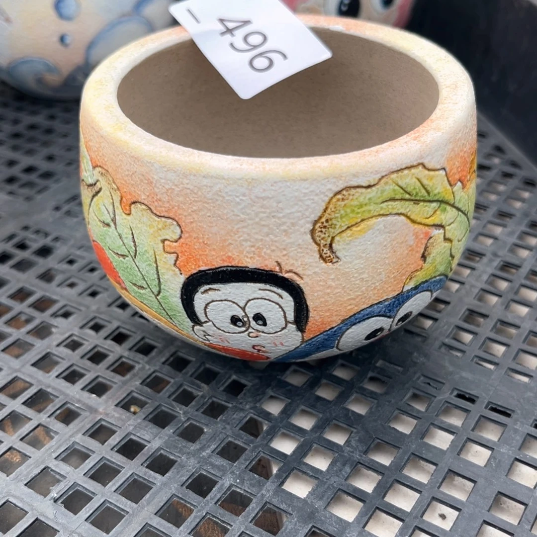 红陶爱***睛496花盆1个
