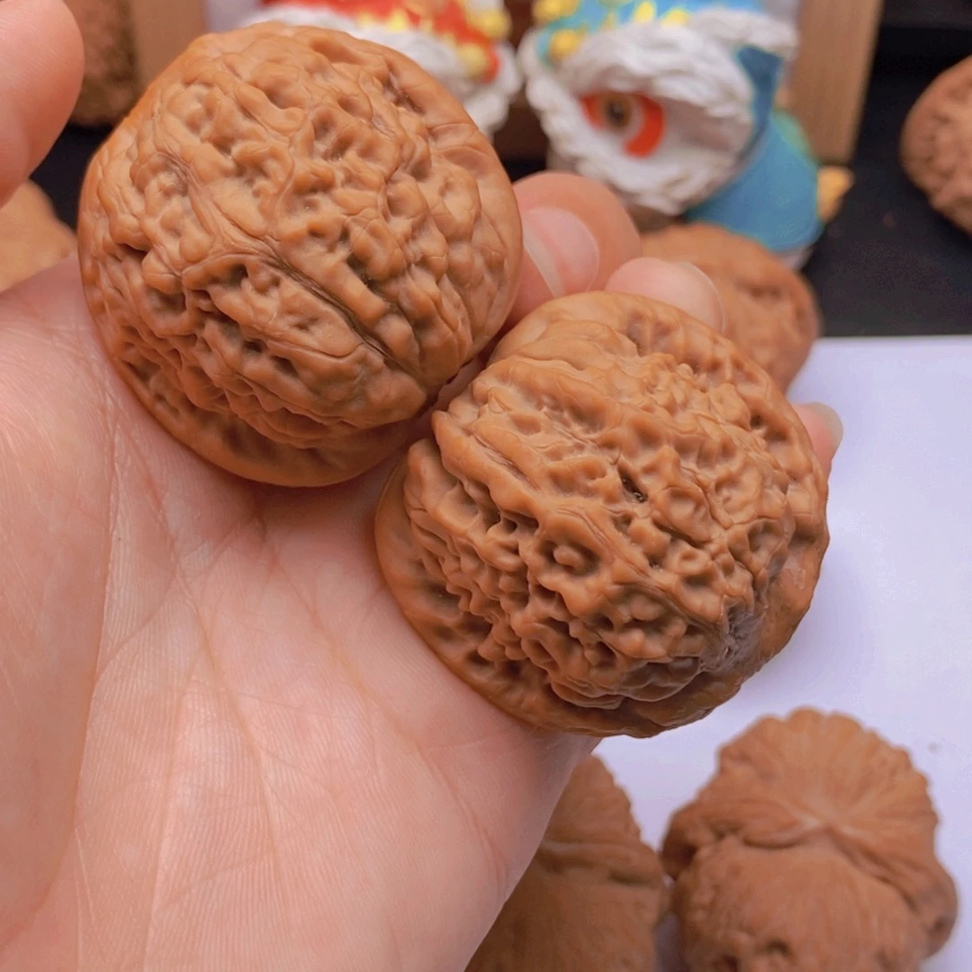 华***缆40尺老树莲花A505