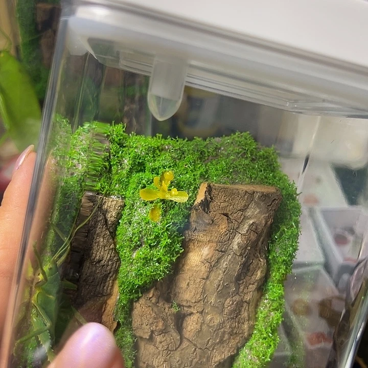 蔚***蓝哈哈哈哈哈哈哈哈哈哈哈