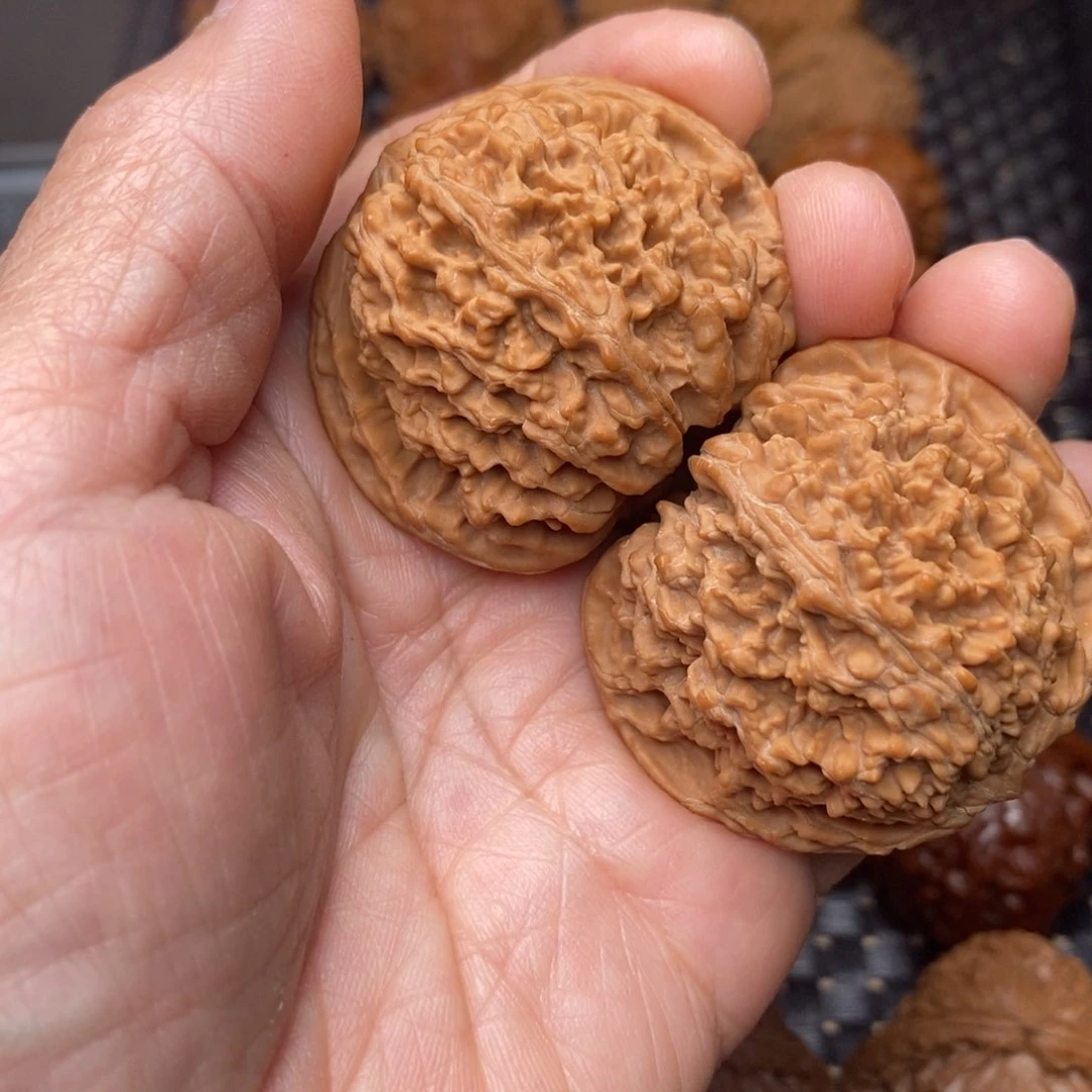 文玩核桃把件李****由满天星