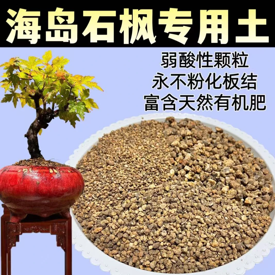 海岛石枫用盆栽风化土下山生桩发根熟桩换土颗粒不粉化板结营养土