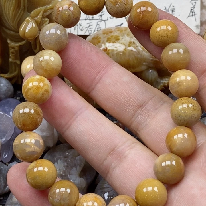颈饰未镶嵌硅化珊瑚（珊瑚玉）舜*