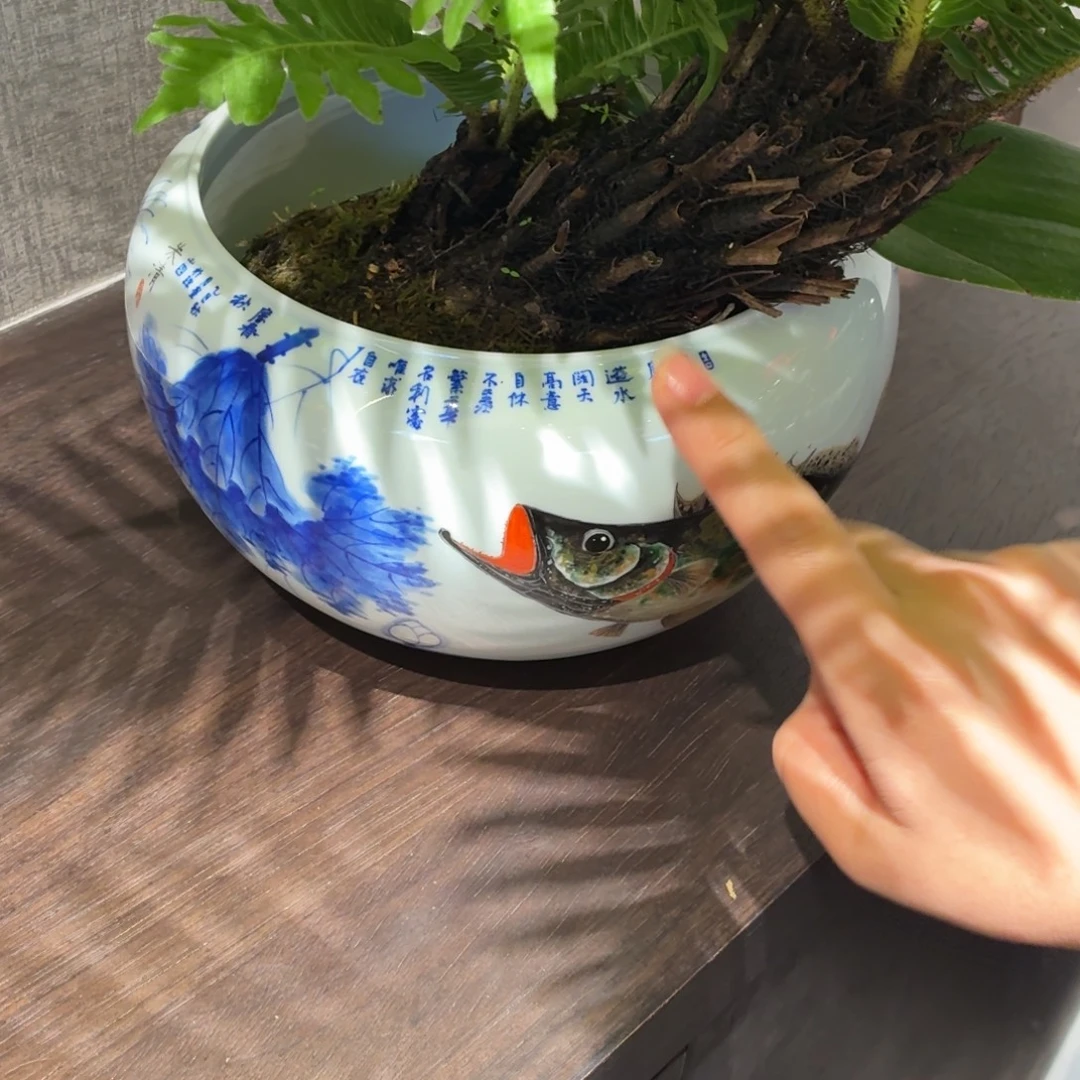 九鸣九鸣九九九九九九九九九九