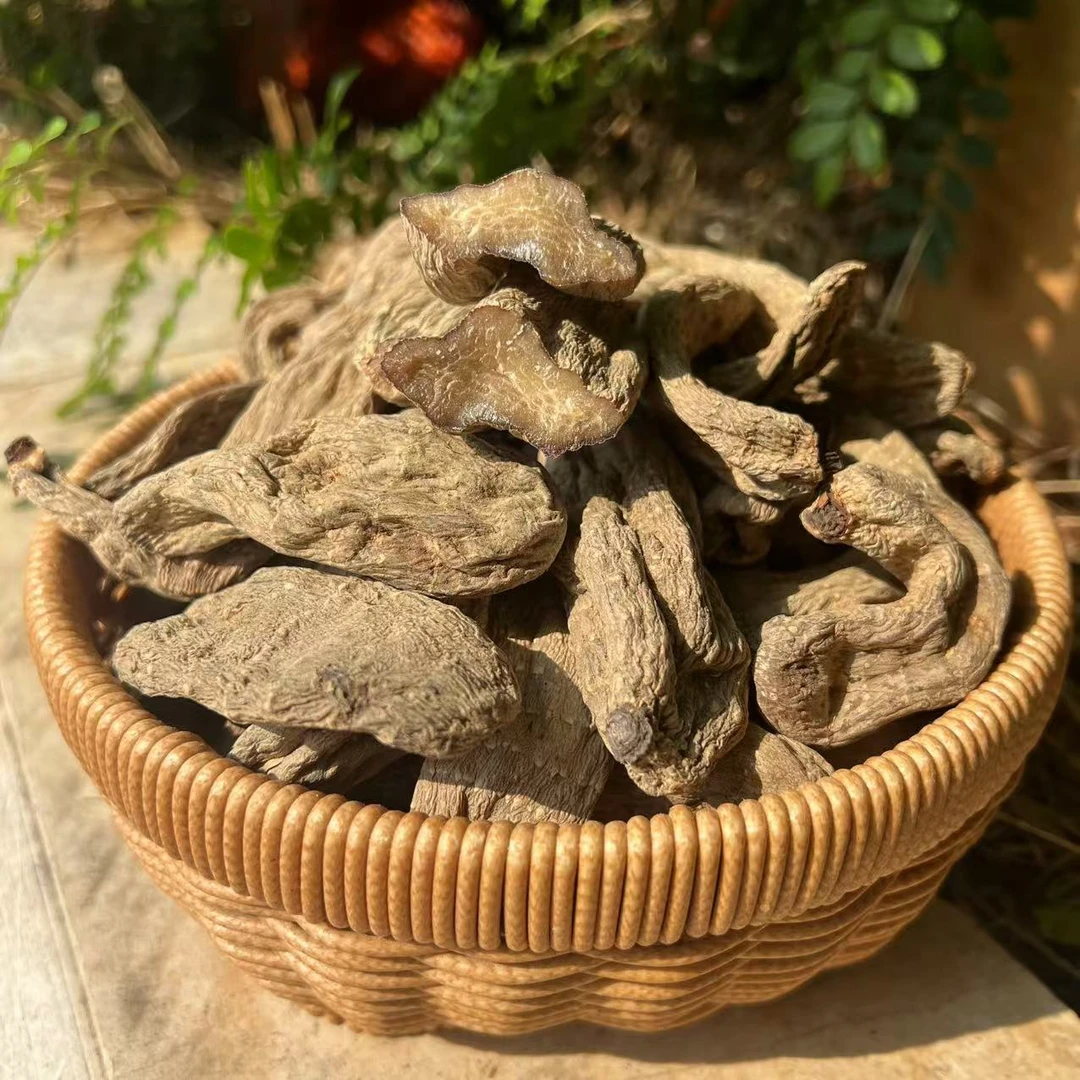 云南农家特产 乌天麻 可代切片 代磨粉