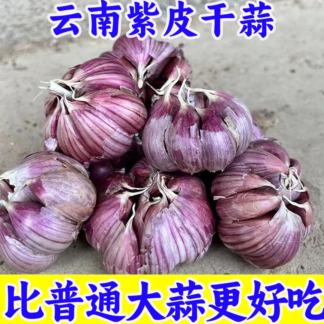 云南紫皮大蒜农家新干蒜头可做腊八蒜糖醋蒜