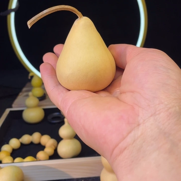 清***ʊ葫芦111111111111