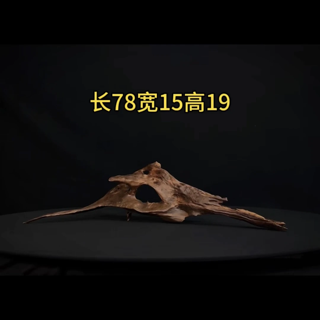 张大狼造景沉木长78cm镂空趴缸 南美鱼缸造景 紫柚木秒沉