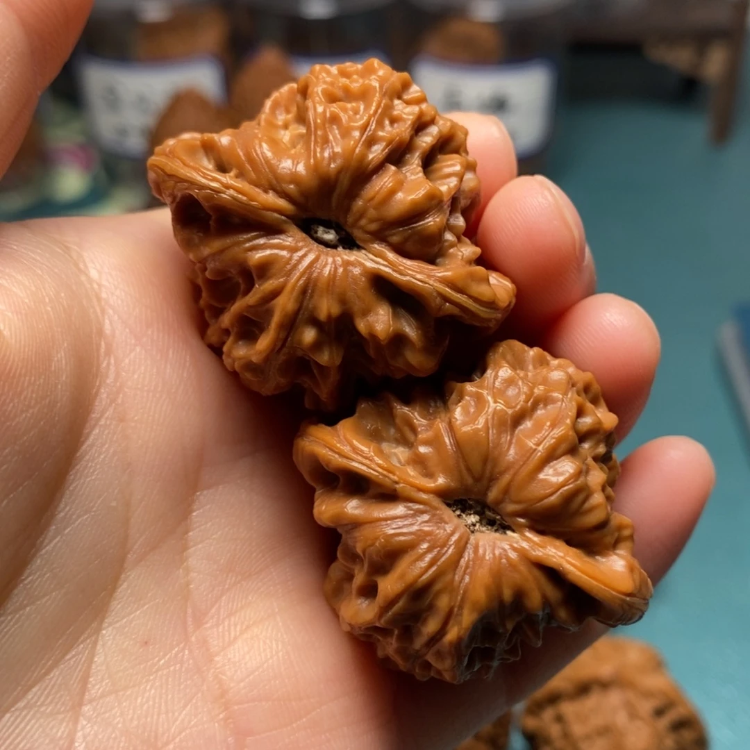 核桃39尺全品白蛇骨
