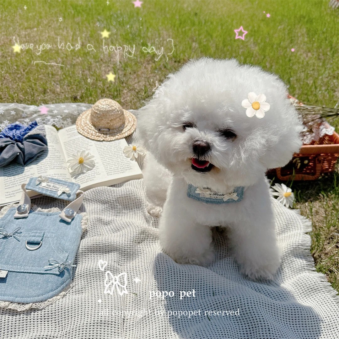 做旧牛仔牵引马甲！复古蕾丝 手打蝴蝶结四季宠物衣服猫咪狗狗胸背