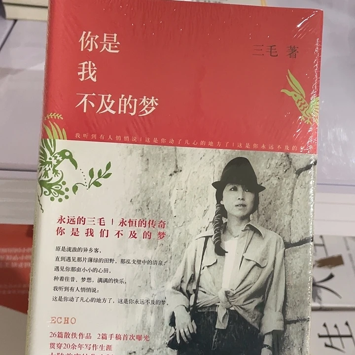 你是我不及的梦  精装带塑封