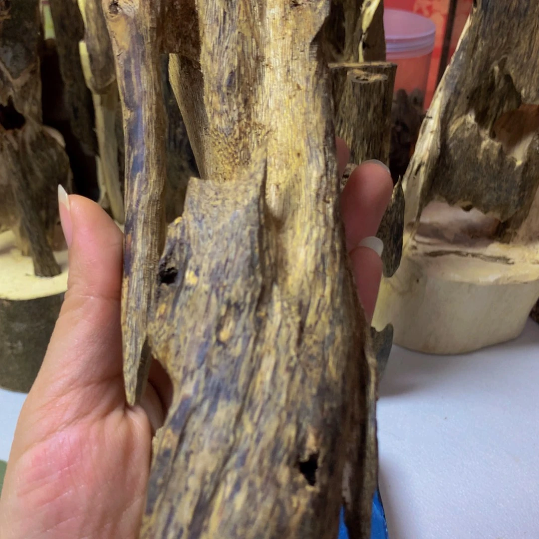 沉香沉香碎屑蓝宝石虫漏120克