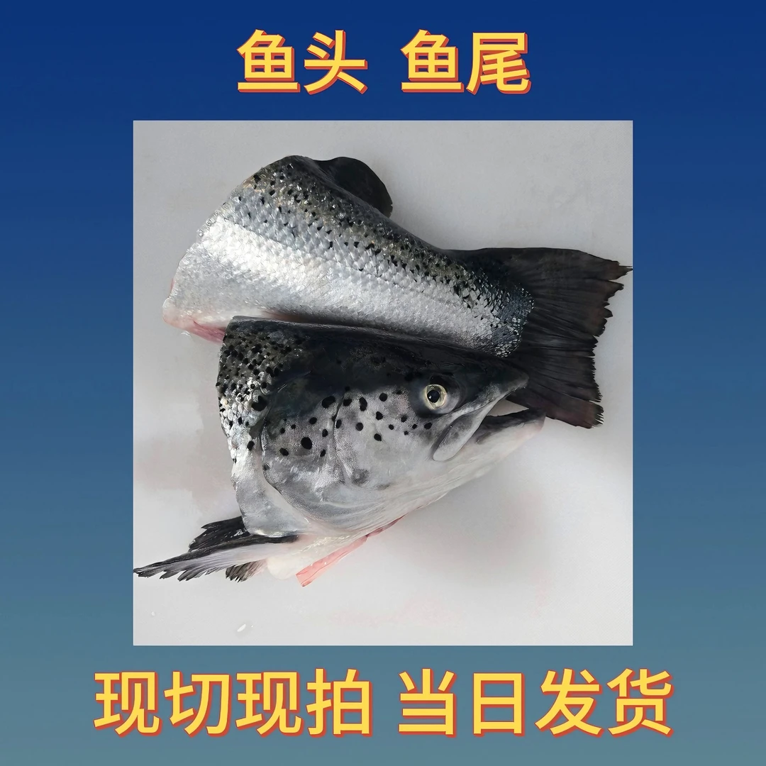 【鱼尾】[冰鲜]挪威三文鱼尾