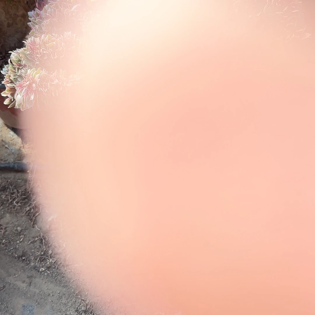 万**缘缀话吞吐发货缀话