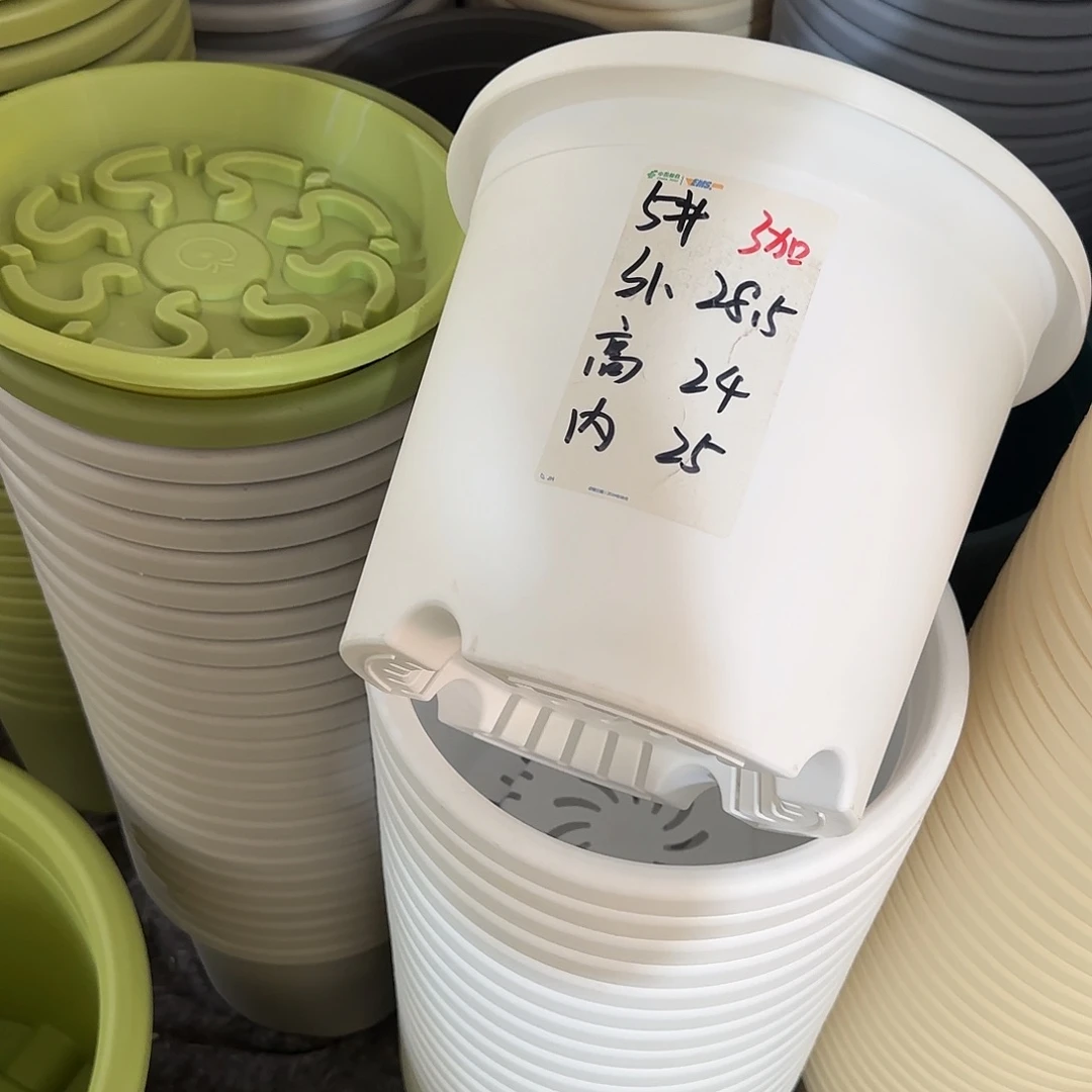 微瑕5号无托6个，白
