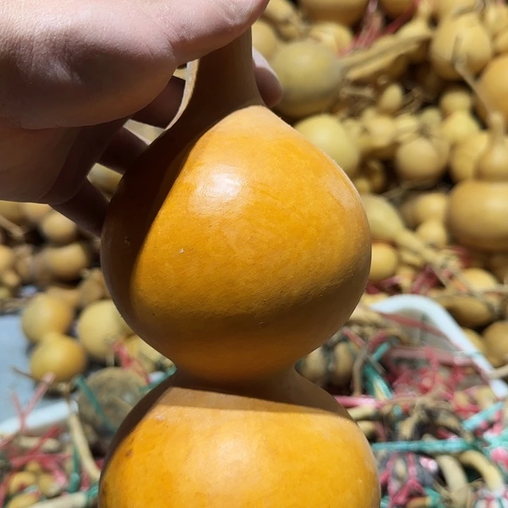 香***巴木15葫芦，满百包邮1254588556699