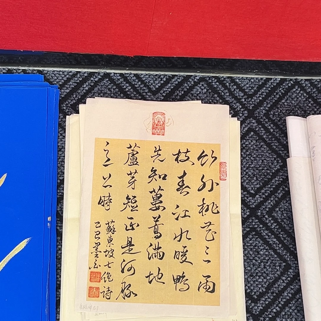 国画夏晓峰老师小精品书法奇