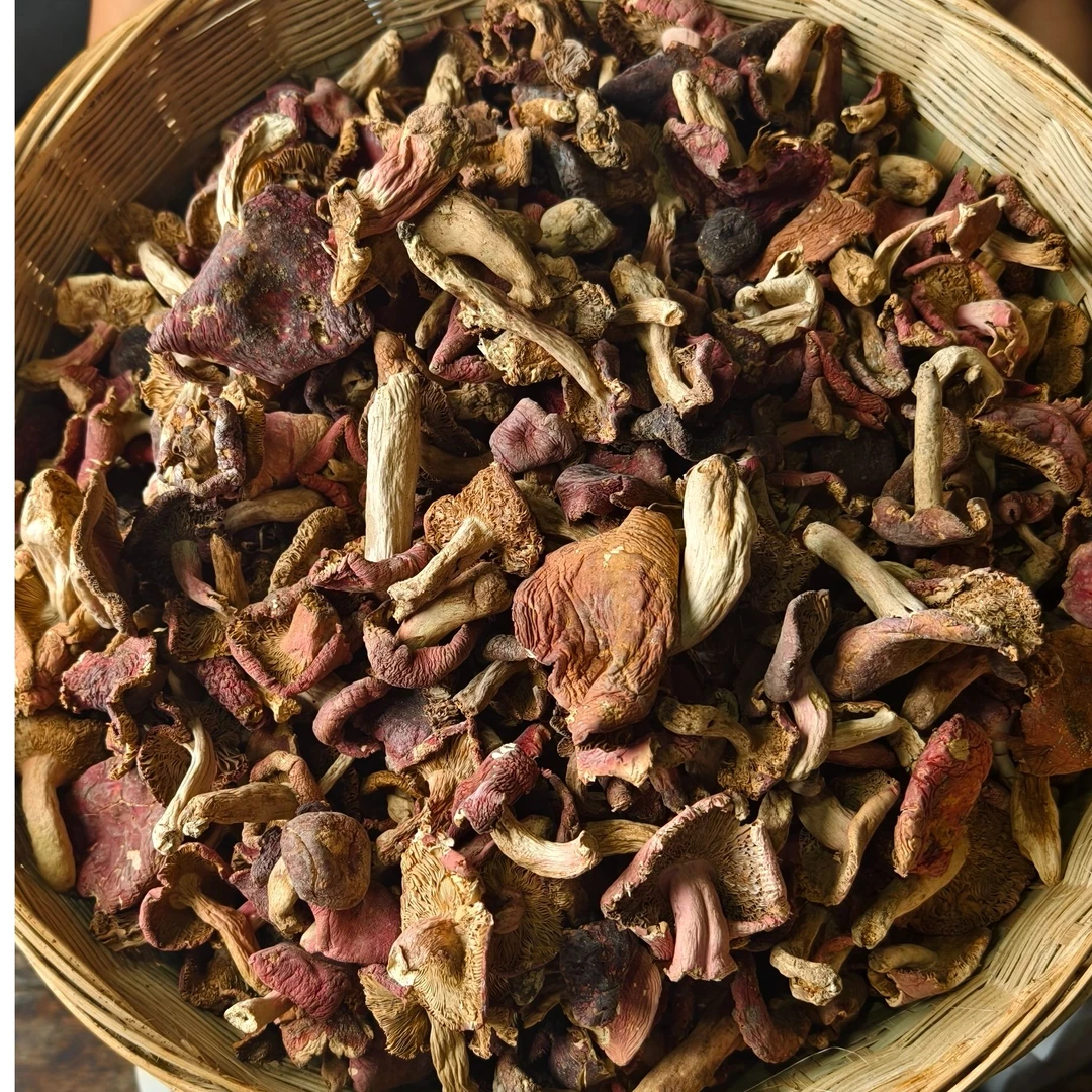 代卖农家野生红乳牛肝菌 高山野生菌子 炒菜炖汤