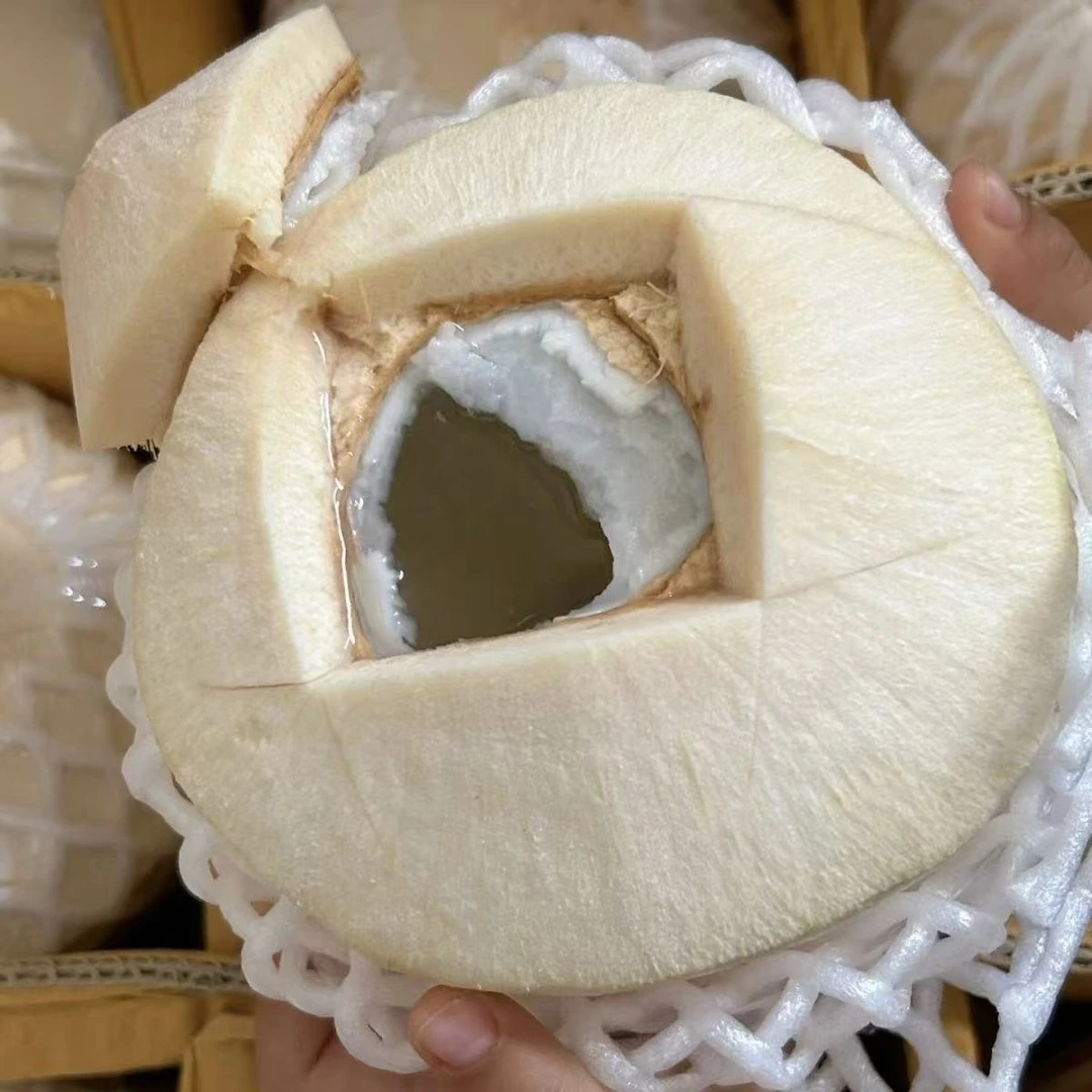 泰国新鲜香水椰青精选大果清甜椰子顺丰快递 送开椰器+吸管生鲜