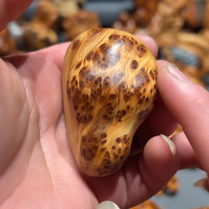 柏木（崖柏）点点关注