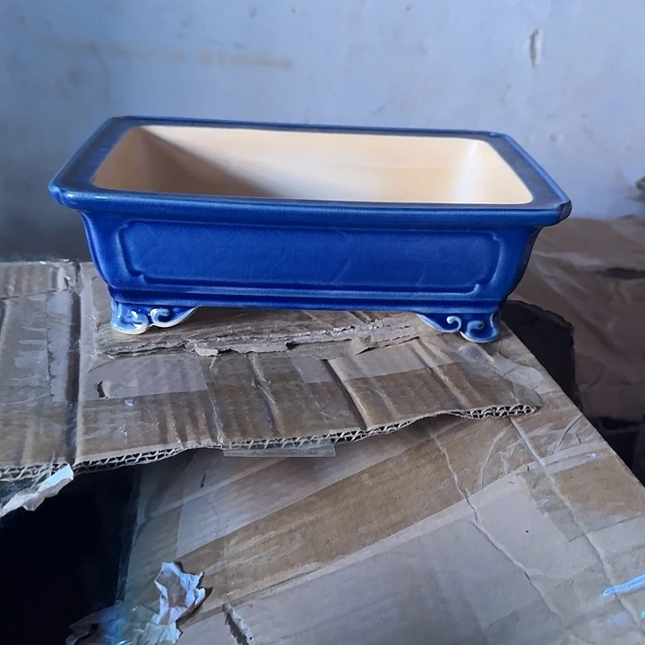 这就是所谓最美不过你不