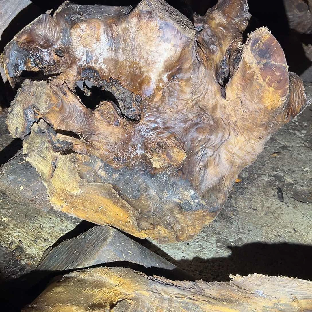 楠木海****民11111111111