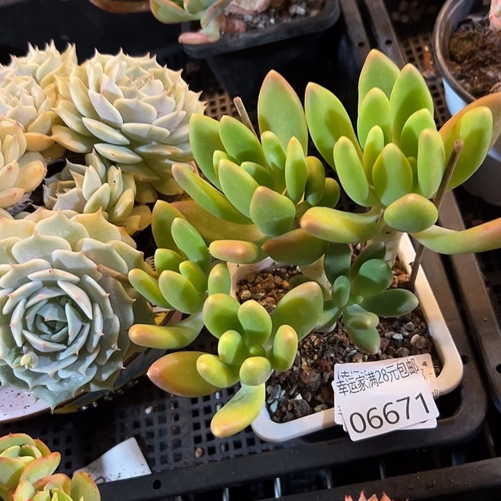 幸运的是我还没遇到过