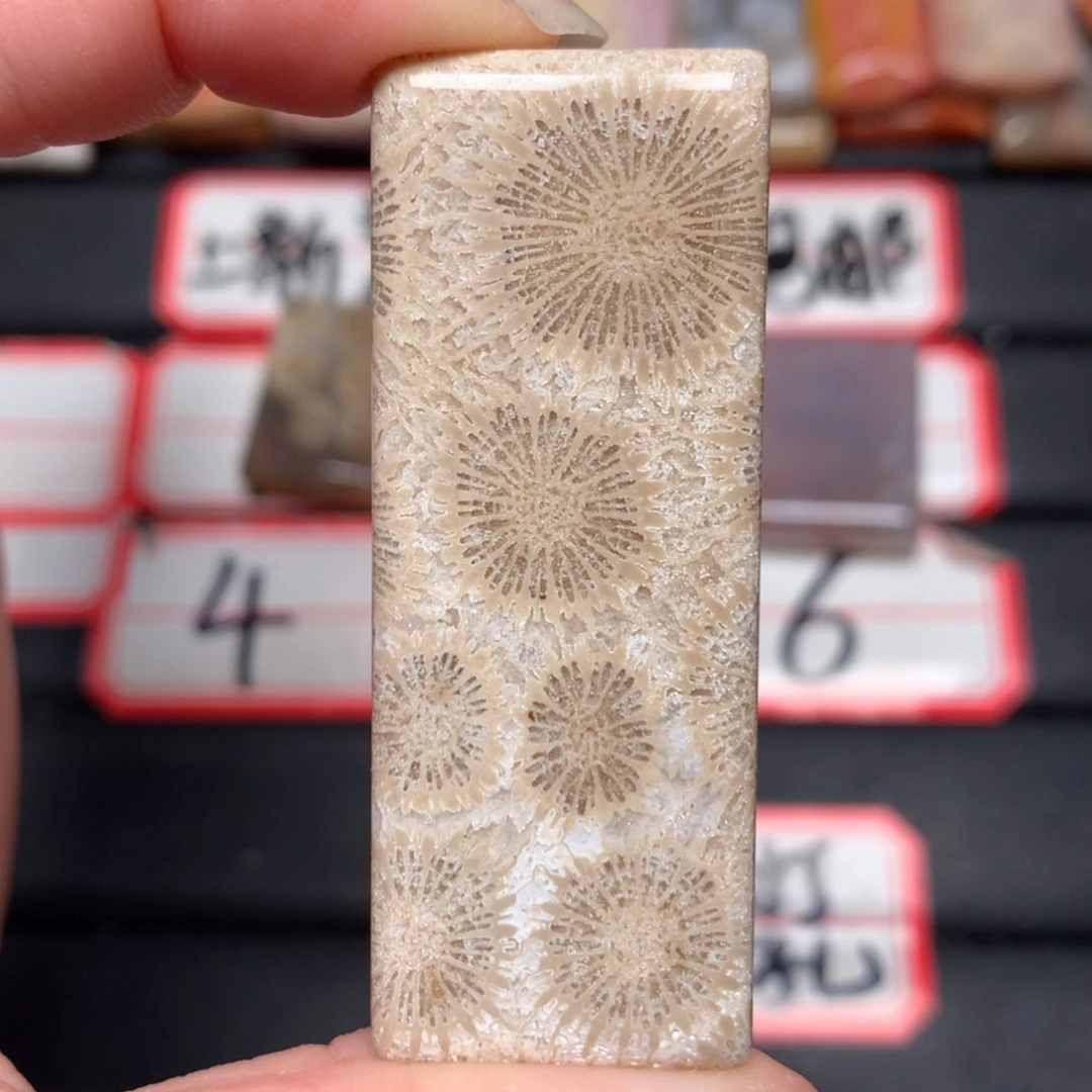 【闪购商品】未镶嵌颈饰硅化玉不*