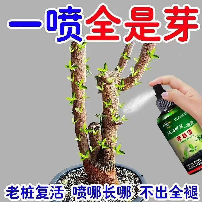 【新芽猛长】老桩催芽剂促芽僵苗快速发新芽防黄叶促花营养复活肥