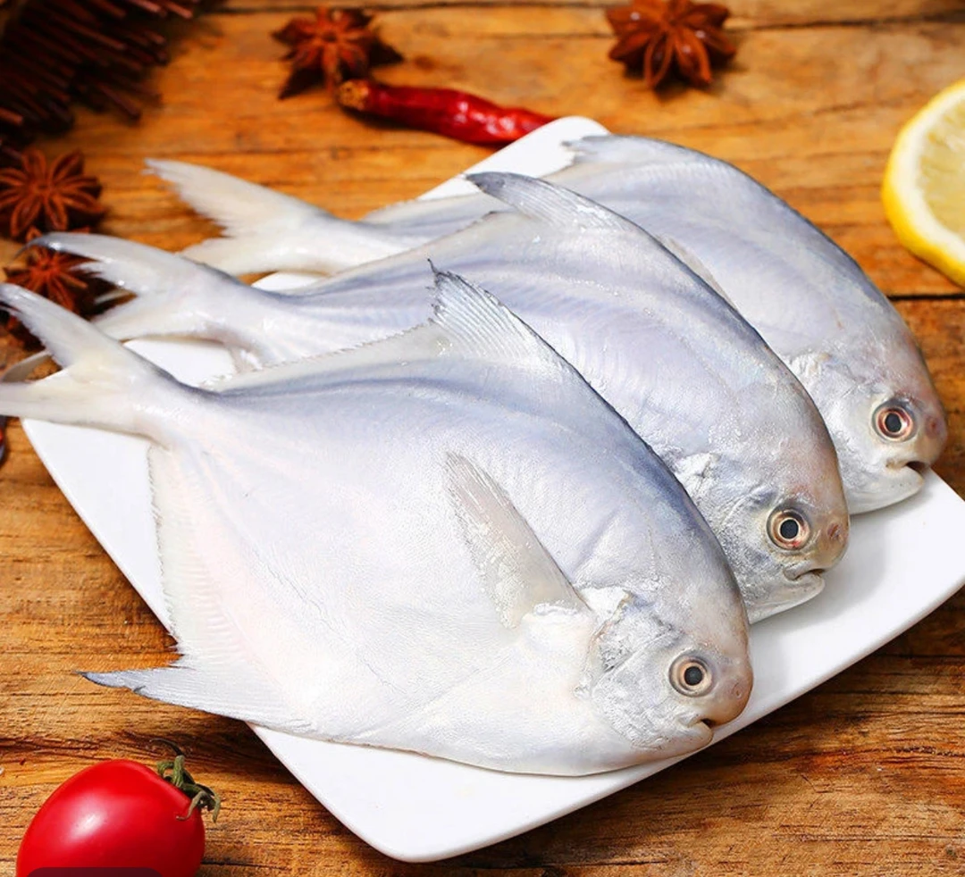 广东本港特产 冰鲜大白鲳鱼 清蒸 红烧 爆炒 煮粥
