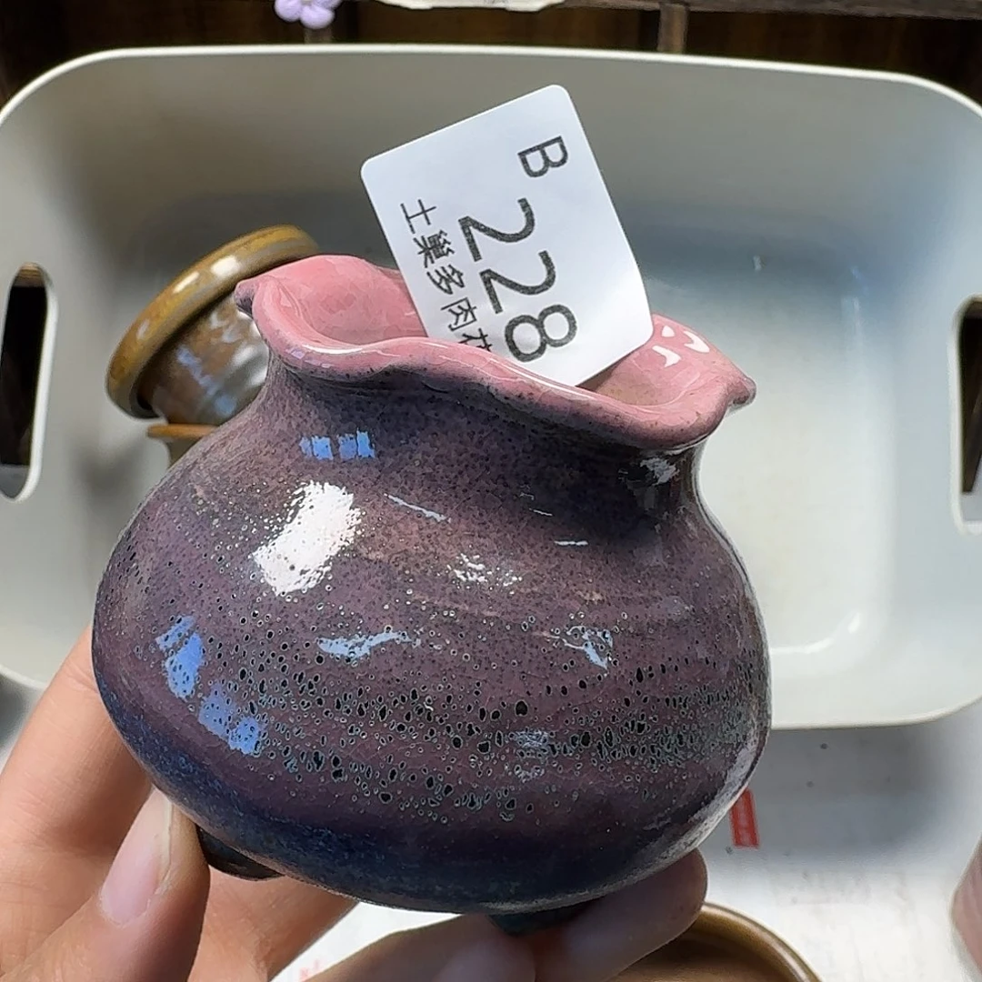 罐陶瓷艺术与工艺