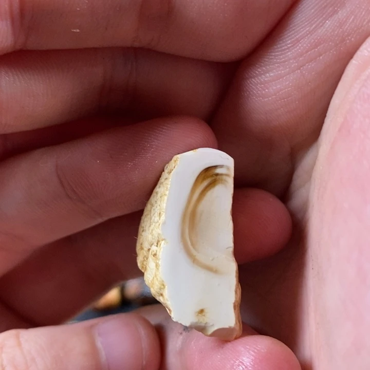 未镶嵌定制琥珀霏**亚琥珀蜜蜡原石定制