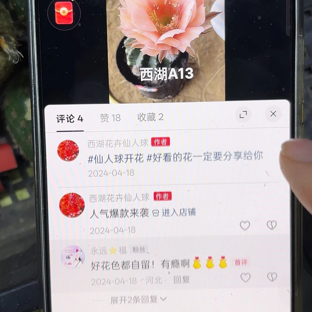 A13精钢侧牙20包邮22瑕